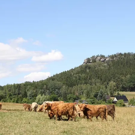 公寓 Alter Gutshof Papstdorf
