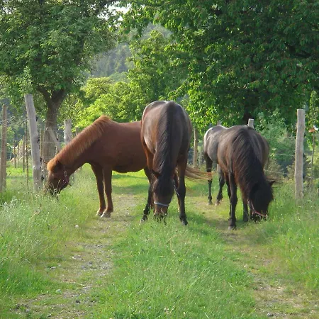 Alter Gutshof Apartment Papstdorf