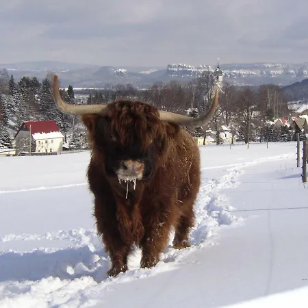 Alter Gutshof Apartment Papstdorf