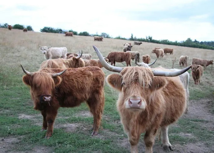 Alter Gutshof Apartment Papstdorf