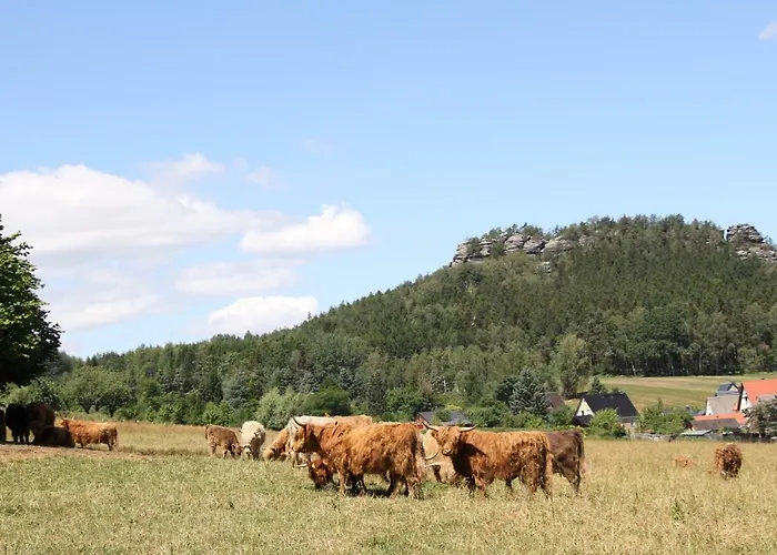 Apartment Alter Gutshof Papstdorf