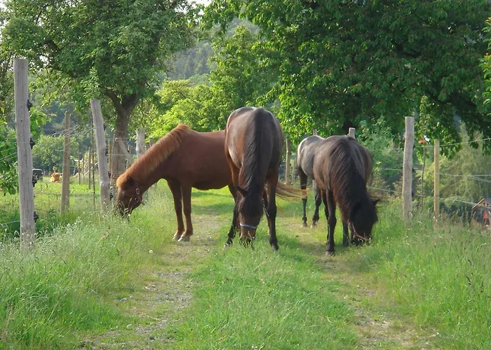 Alter Gutshof Apartment Papstdorf